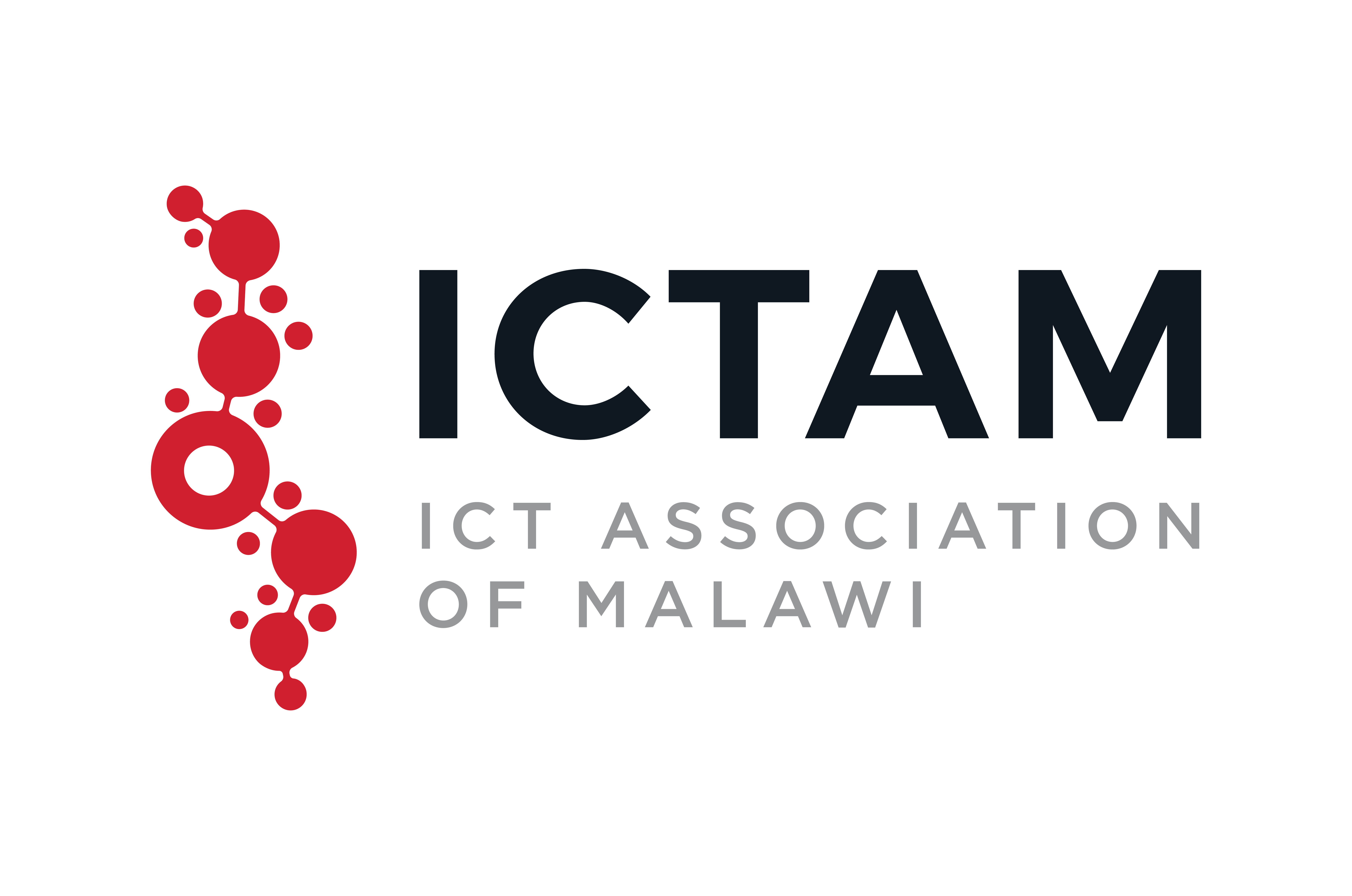 ICTAM Logo